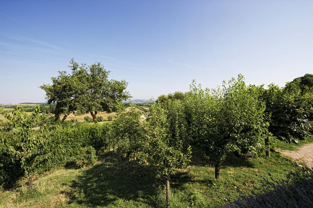 Agriturismo I Roseti Montepulciano Room photo