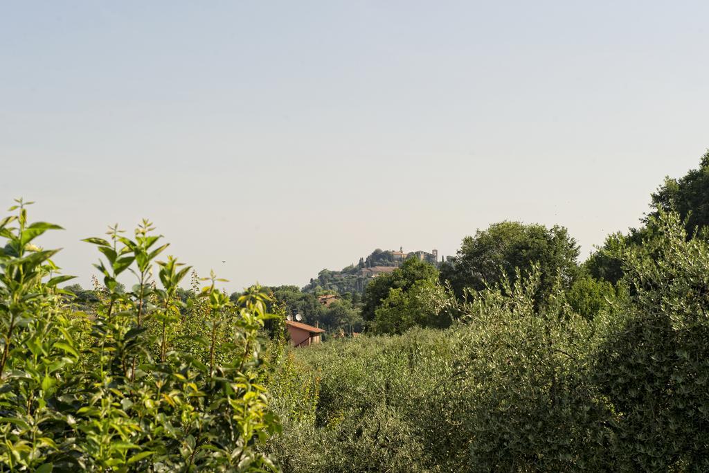 Agriturismo I Roseti Montepulciano Room photo